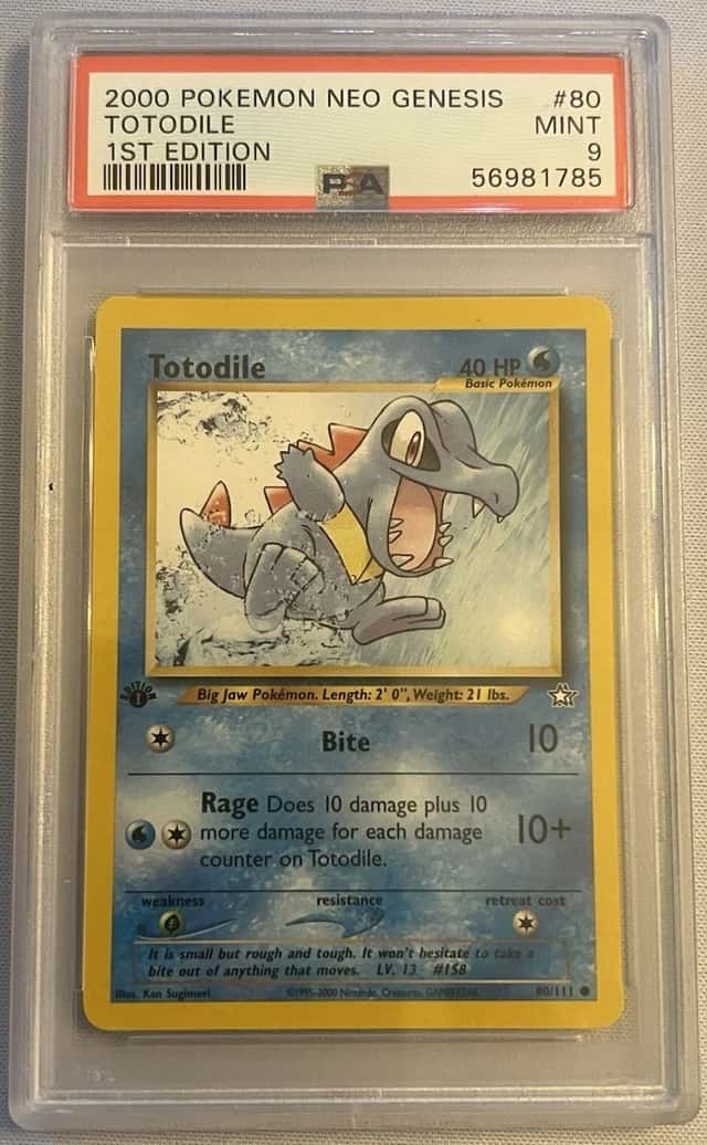 Totodile