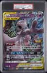 Mewtwo & Mew Gx
