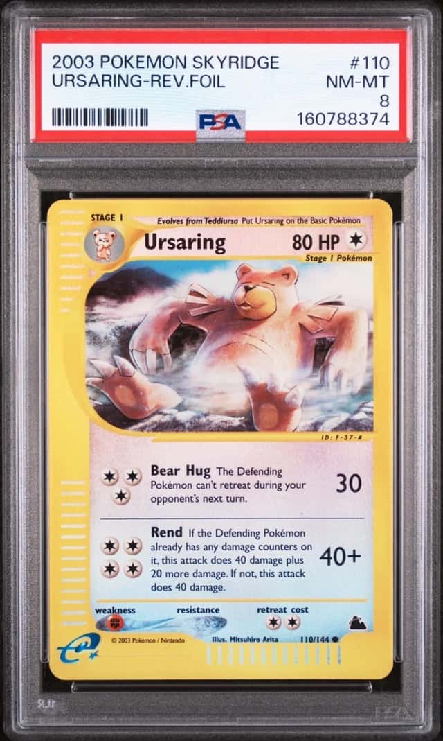 Ursaring