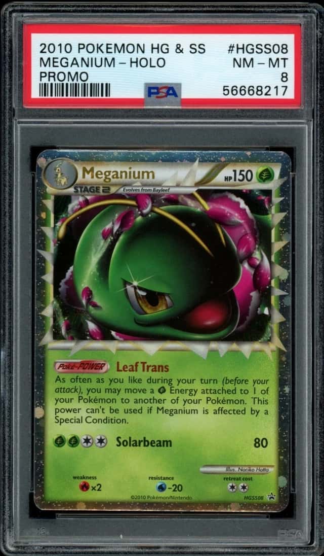 Meganium