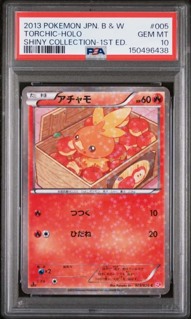 Torchic