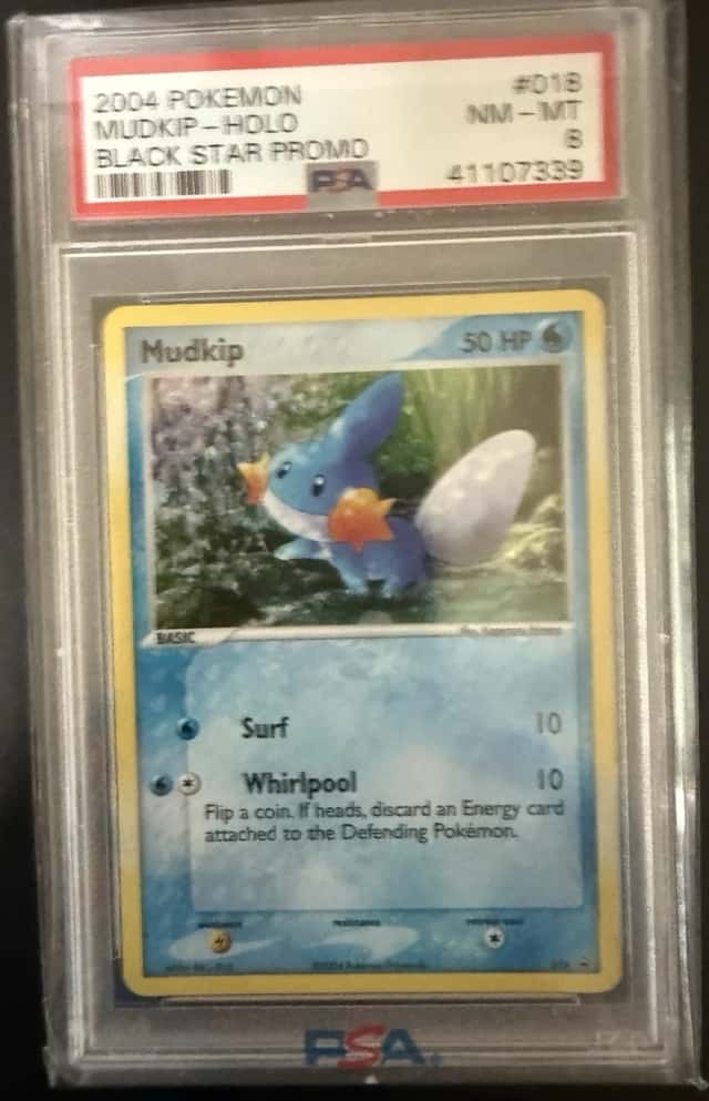 Mudkip