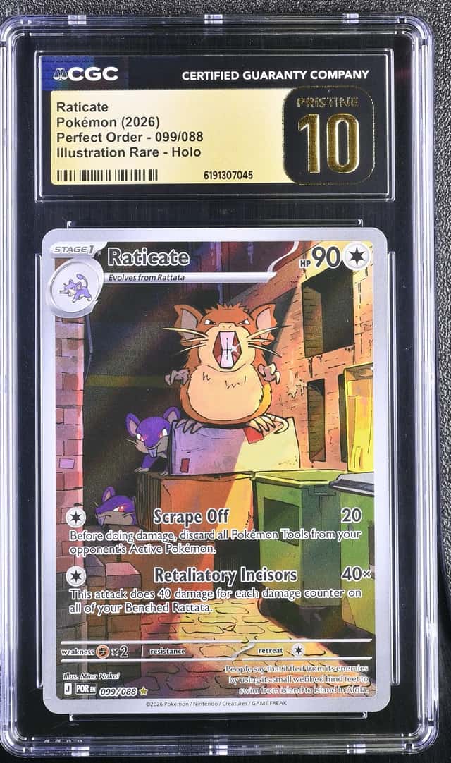 Raticate
