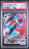 Salamence Vmax
