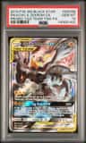 Pikachu & Zekrom Gx