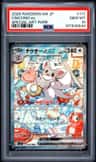 Cinccino Ex