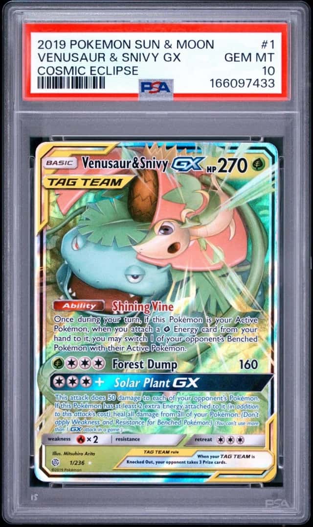 Venusaur & Snivy GX