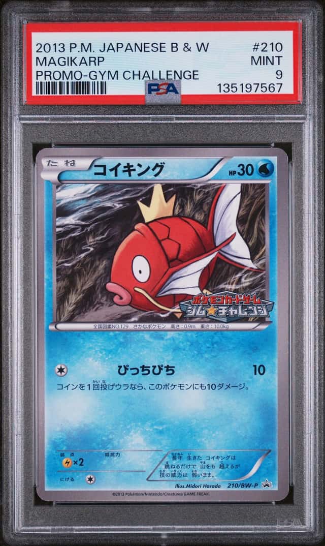 Magikarp