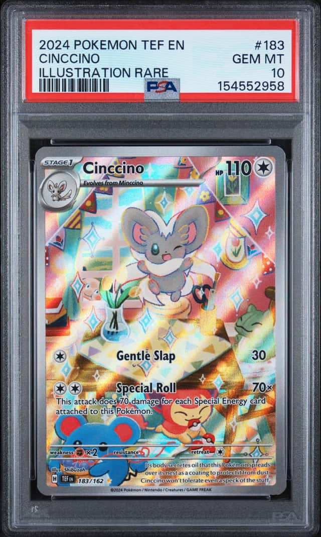 Cinccino