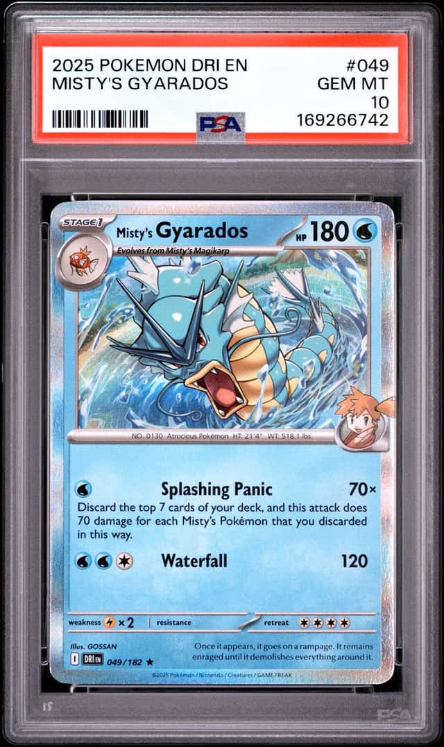 Misty's Gyarados