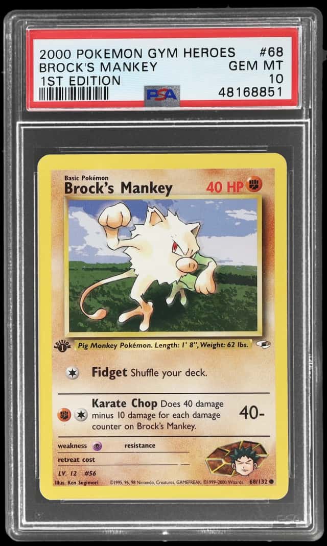 Brock's Mankey