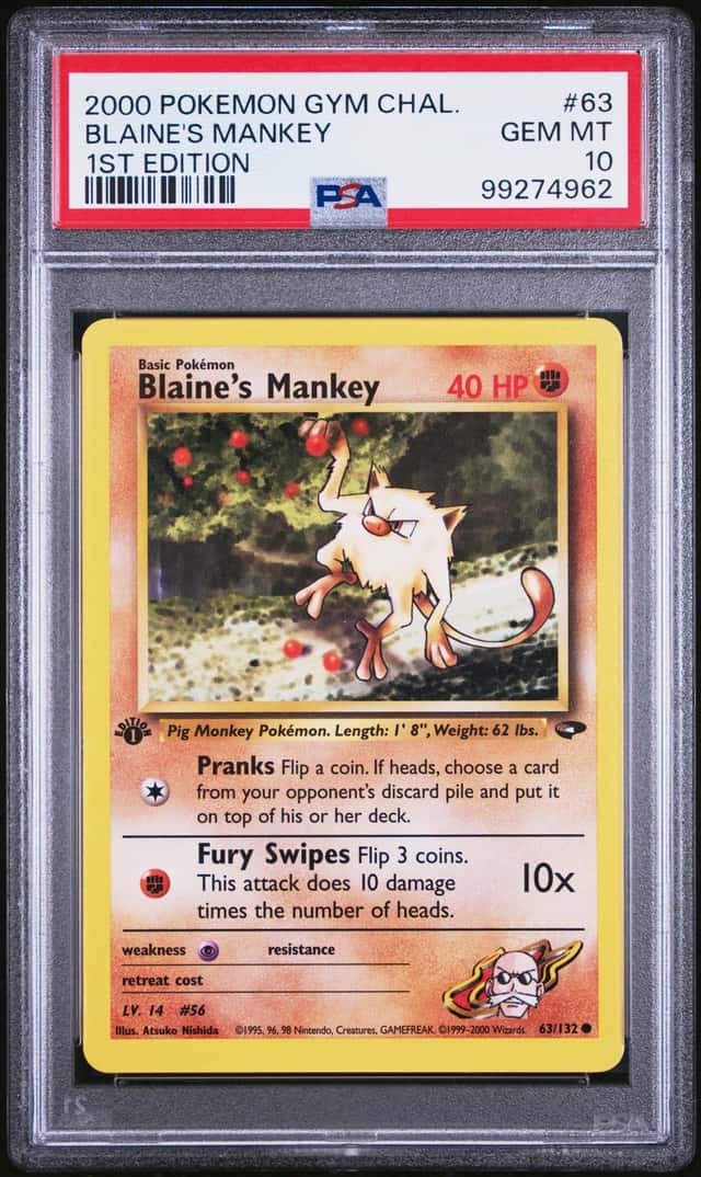 Blaine's Mankey