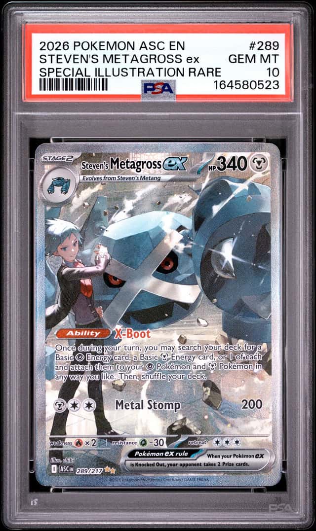 STEVEN'S METAGROSS ex
