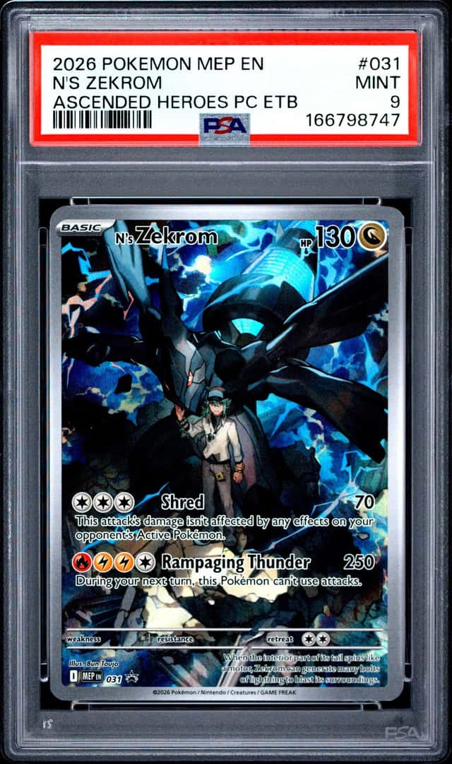 N's Zekrom
