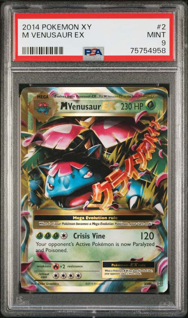 M Venusaur EX