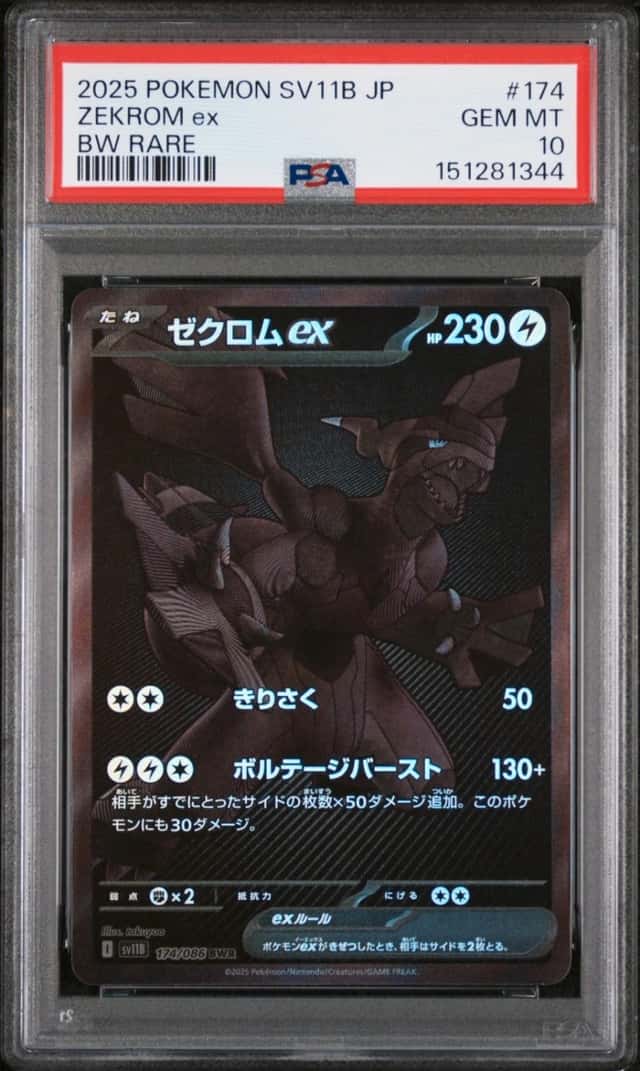 ZEKROM ex