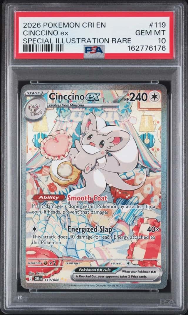 CINCCINO ex