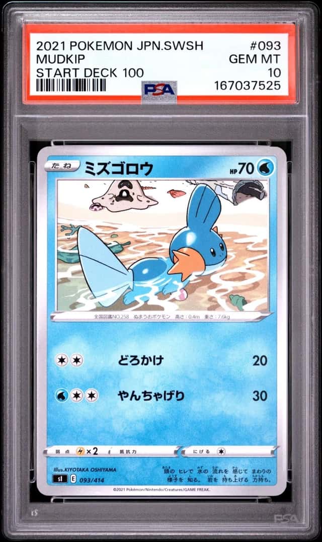 Mudkip