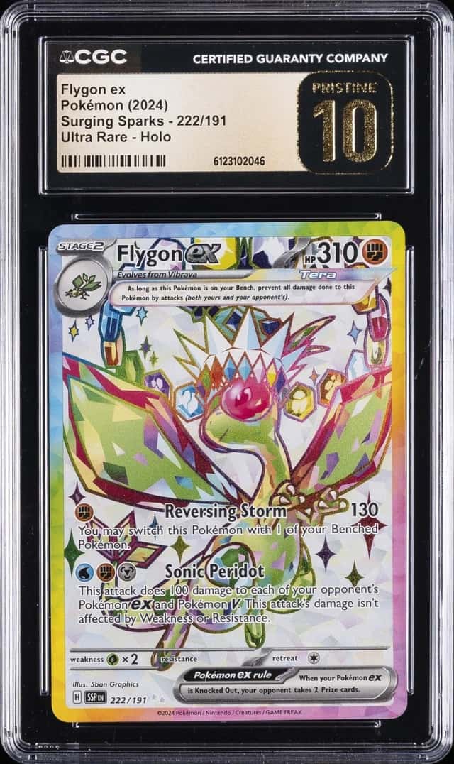 FLYGON ex