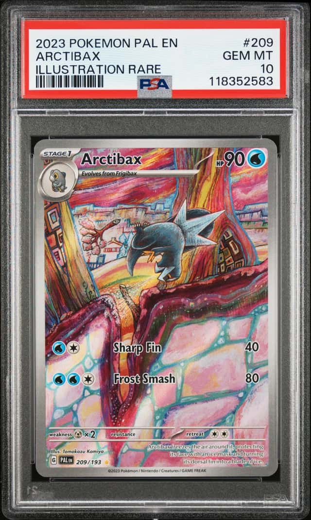 Arctibax