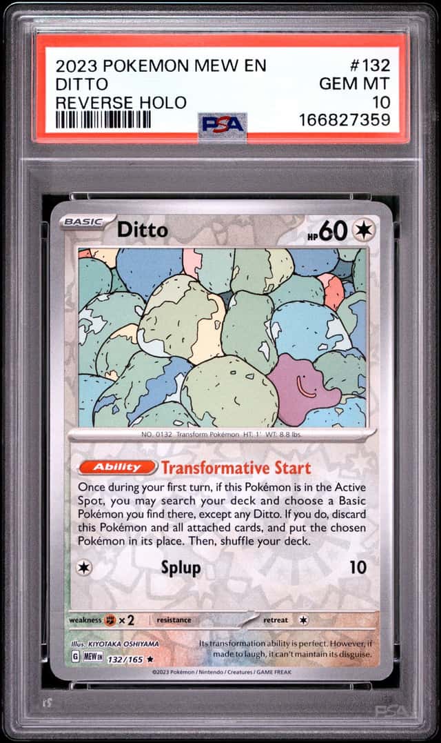 Ditto