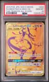 Mewtwo & Mew Gx