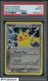 Pikachu D