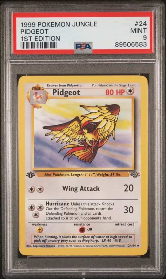 Pidgeot