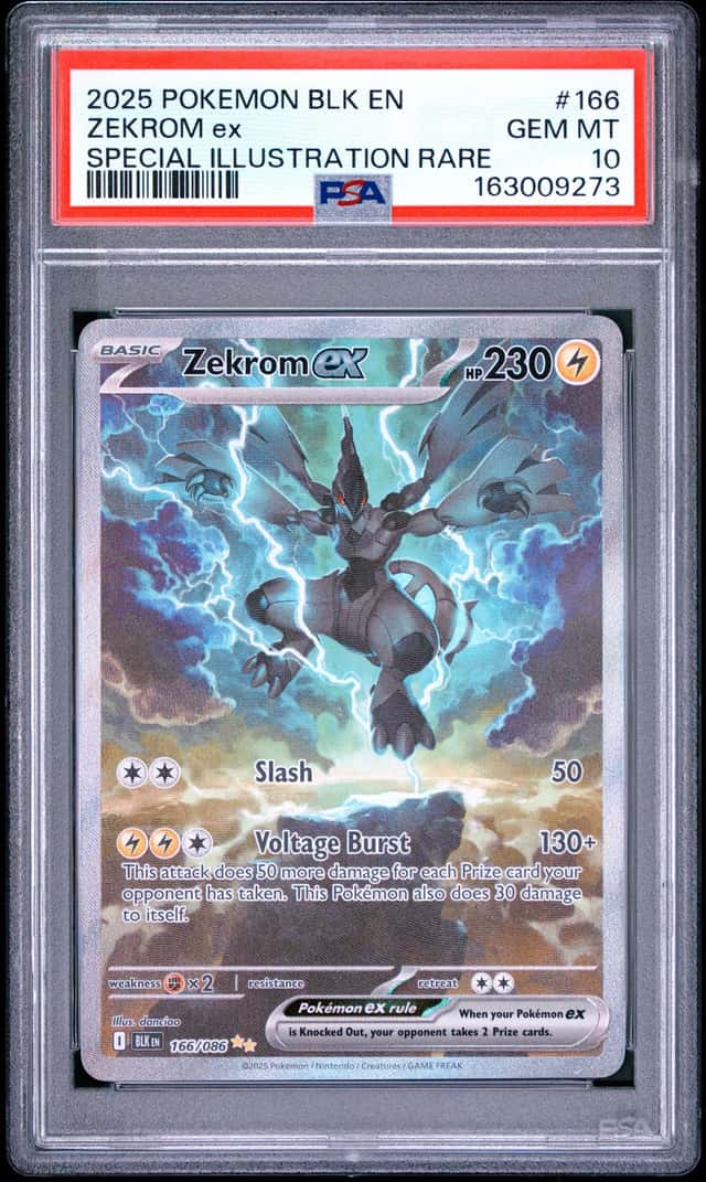 ZEKROM ex
