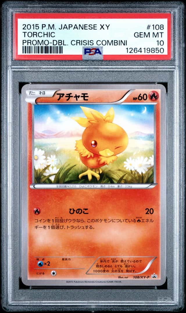 Torchic