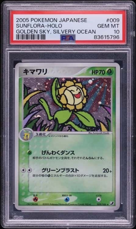 Sunflora