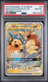 Raichu/alolan Raichu Gx