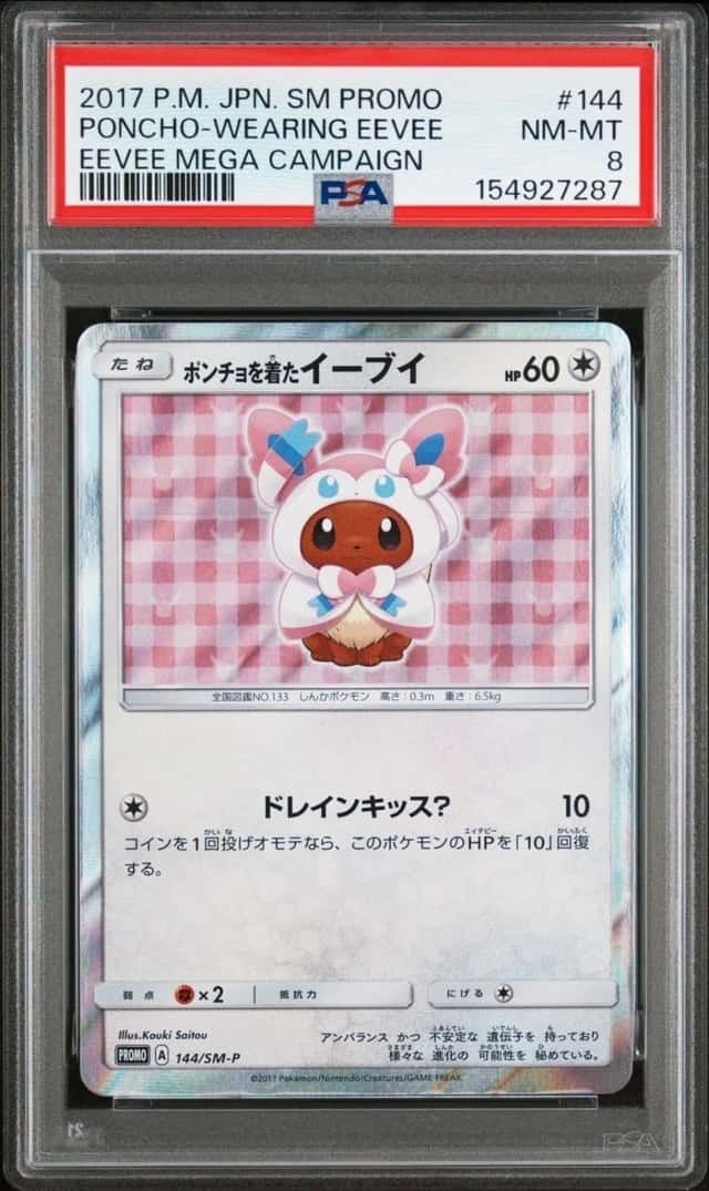 Poncho-Wearing Eevee