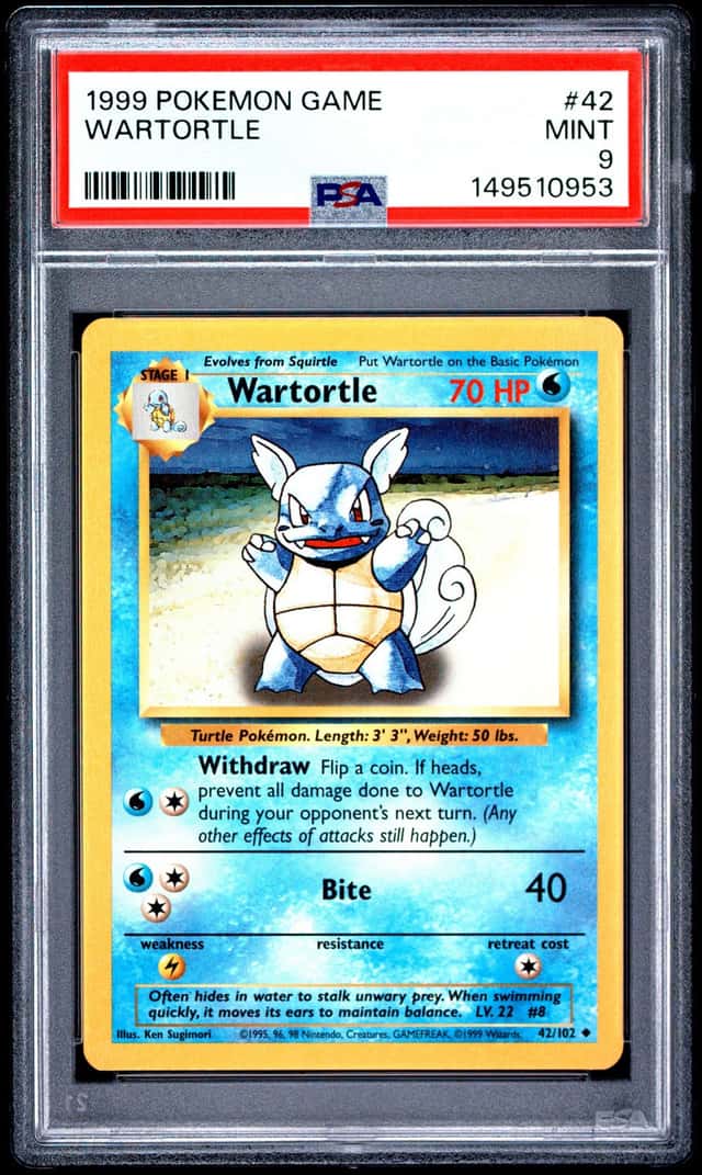 Wartortle