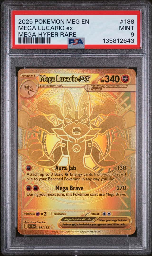 MEGA LUCARIO ex