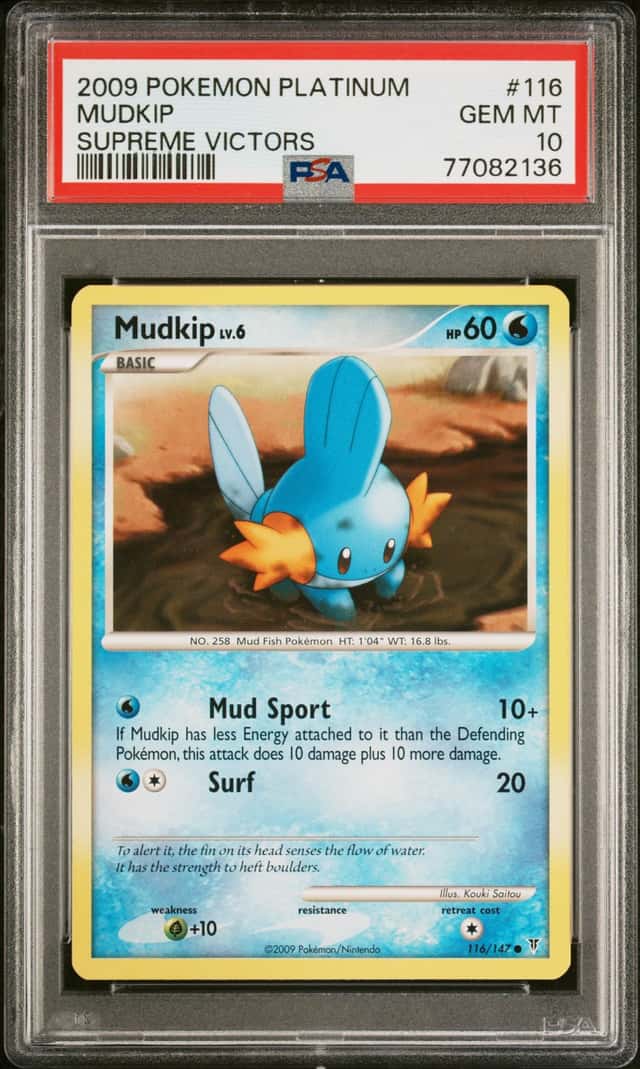 Mudkip