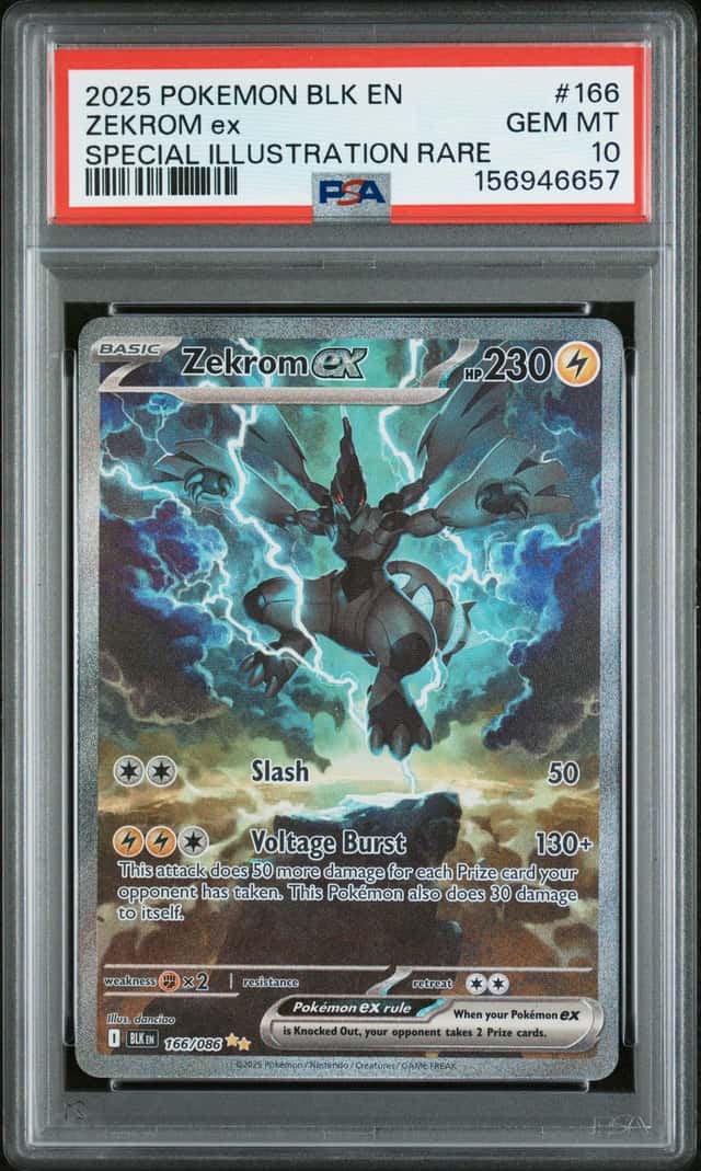 ZEKROM ex