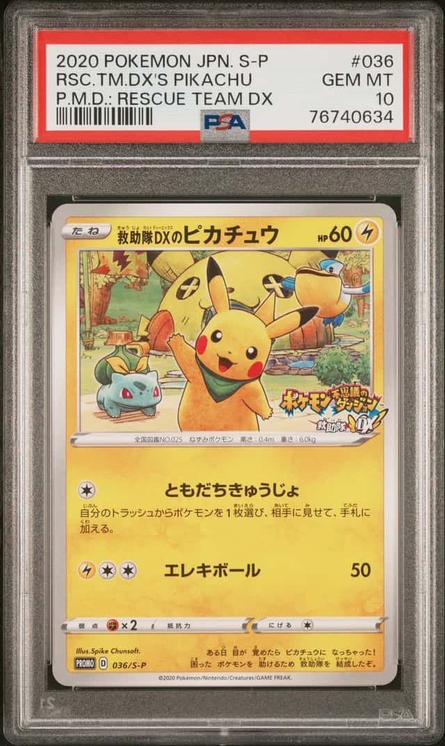 Rescue Team Dx's Pikachu