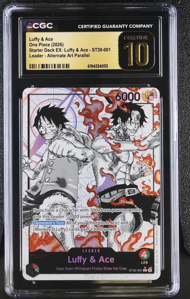 Luffy & Ace