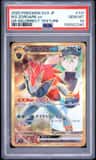N'S Zoroark Ex