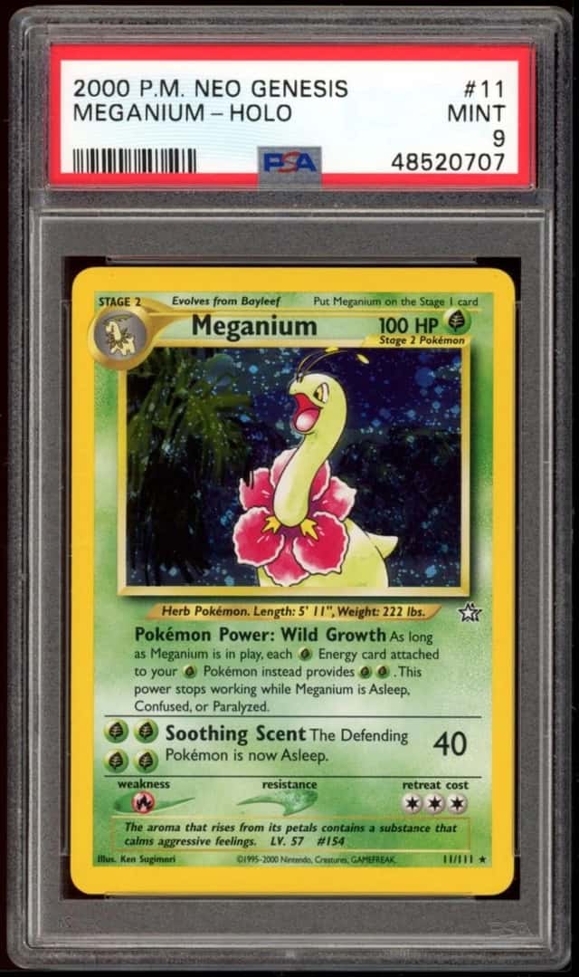 Meganium