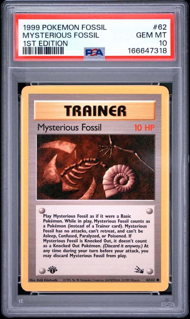 Mysterious Fossil