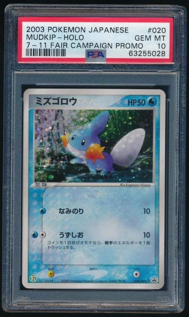 Mudkip