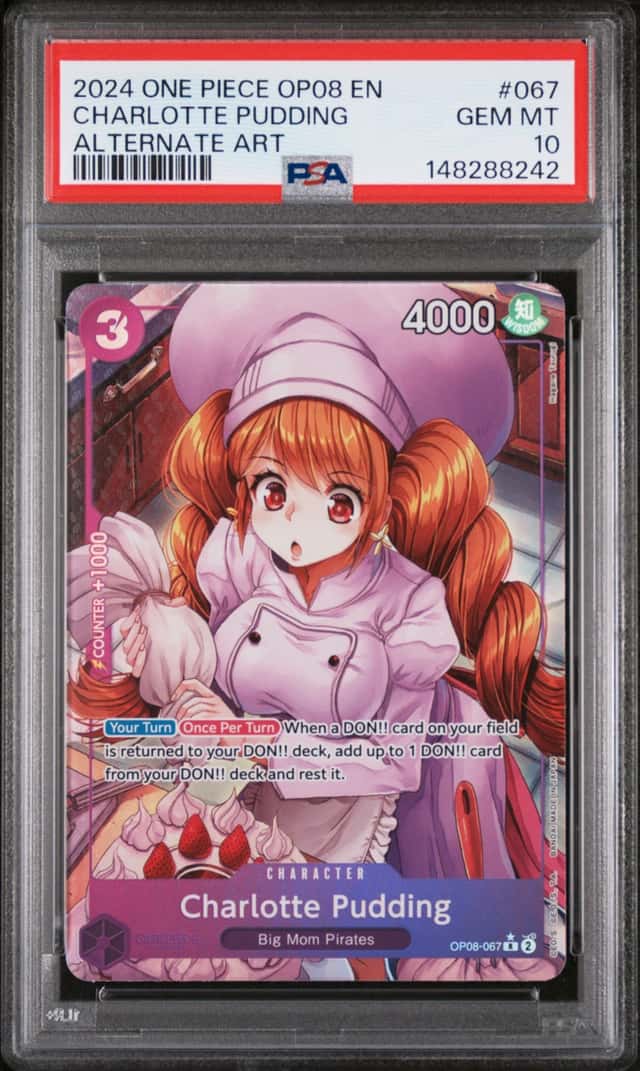 Charlotte Pudding