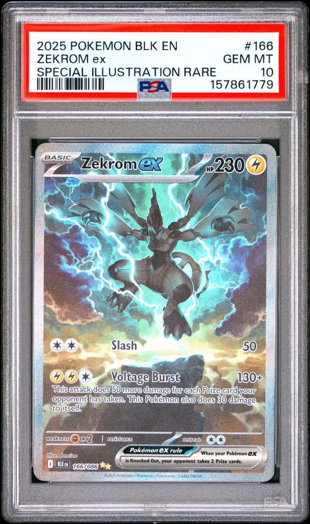 ZEKROM ex