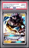 Raikou Gx