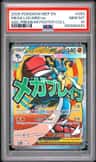 Mega Lucario Ex