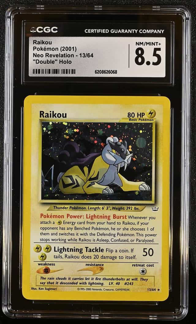 Raikou
