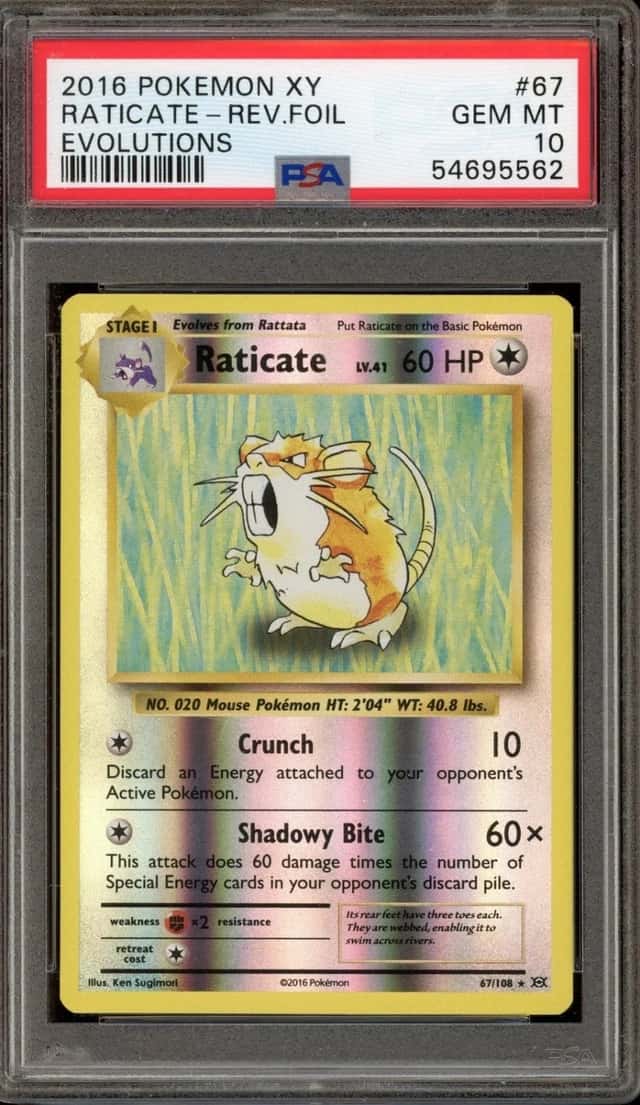 Raticate