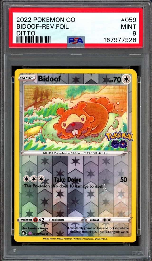 Bidoof
